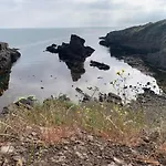 别墅 Family House Freeдом 辛尼莫雷特