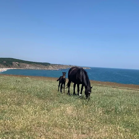 Family House Freeдом Villa *